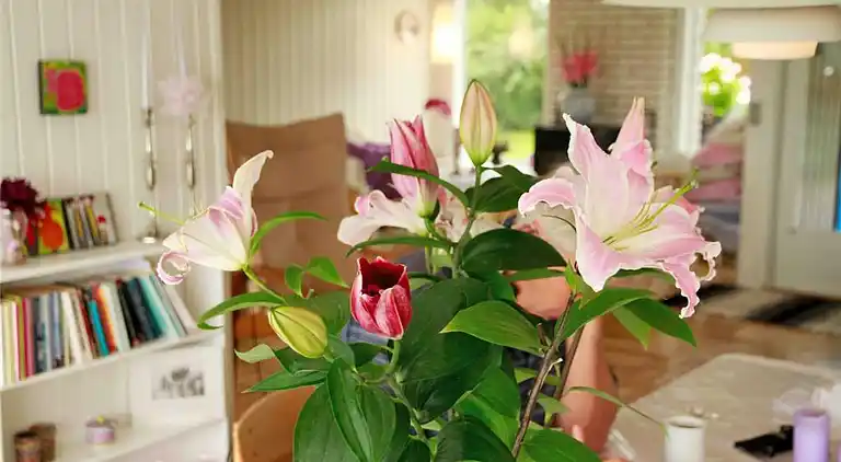 Sommerhus ved Saksild Strand