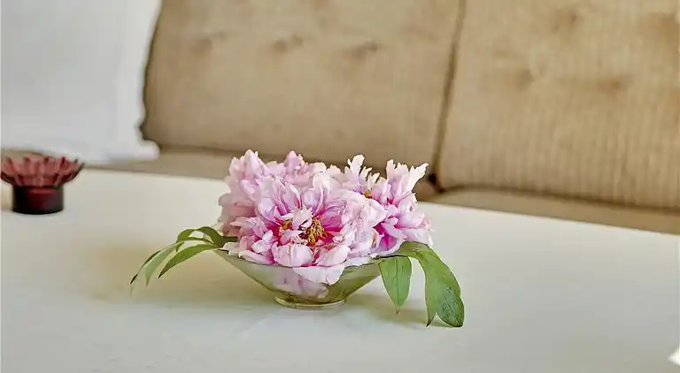 Sommerhus ved Saksild Strand