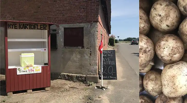 Sommerhus ved Saksild Strand