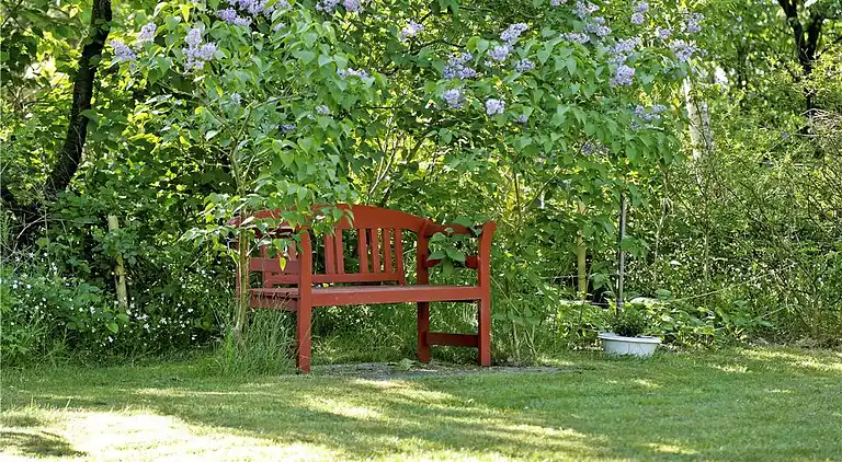Sommerhus ved Saksild Strand