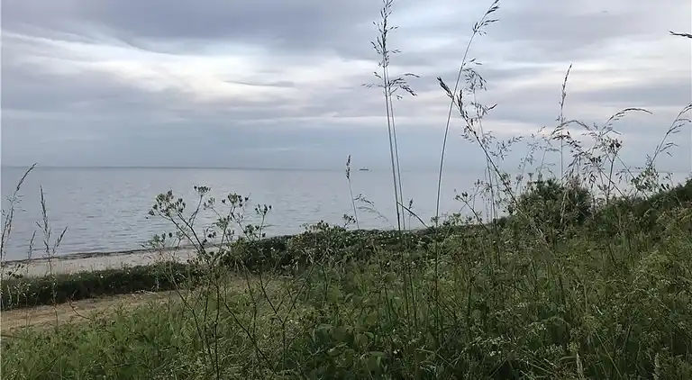 Sommerhus ved Saksild Strand