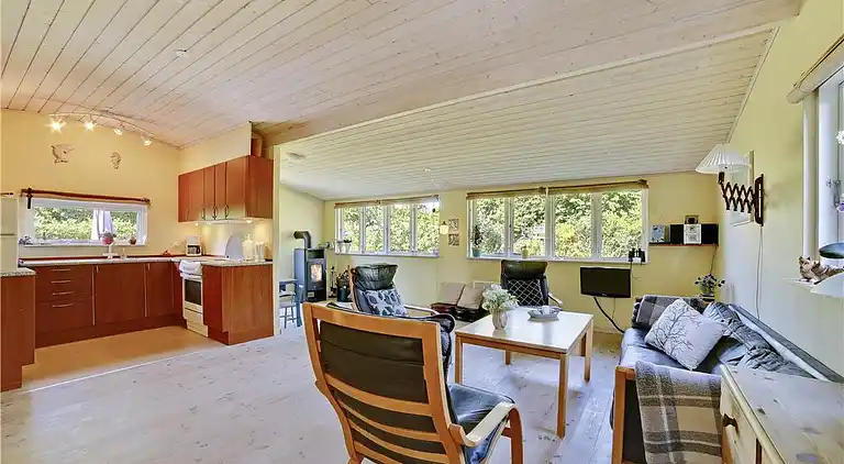 Sommerhus ved Saksild Strand