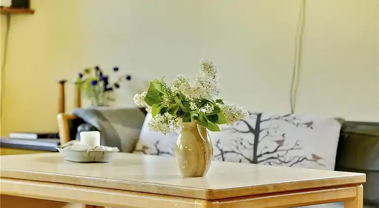 Sommerhus ved Saksild Strand