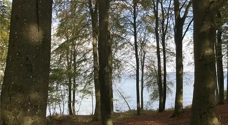 Sommerhus ved Mariendal Strand