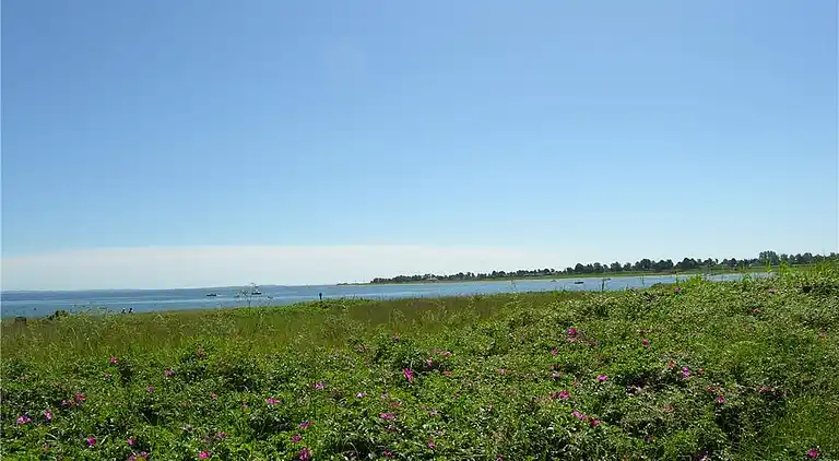 Sommerhus ved Ajstrup Strand