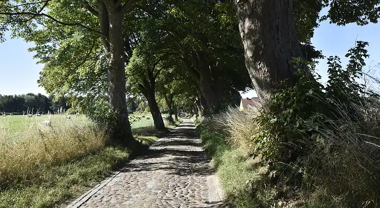 Ferielejlighed i Miekenhagen