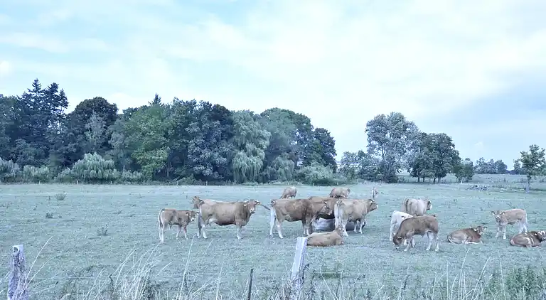 Apartment in Viecheln