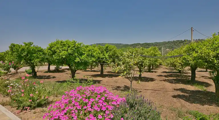 Farm house in Limbadi