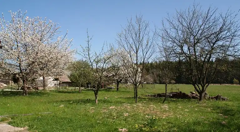Holiday home in Starobucké Debrné
