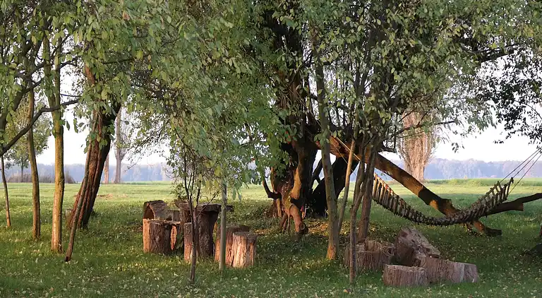 Appartement in Viecheln