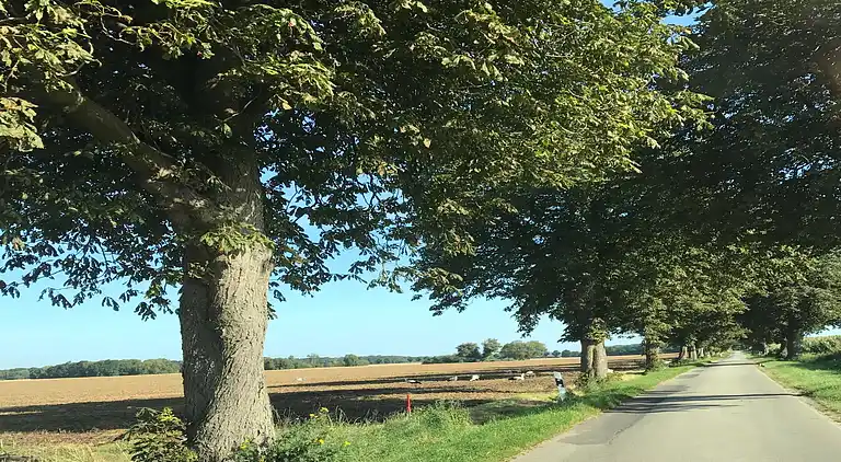 Ferienwohnung in Viecheln