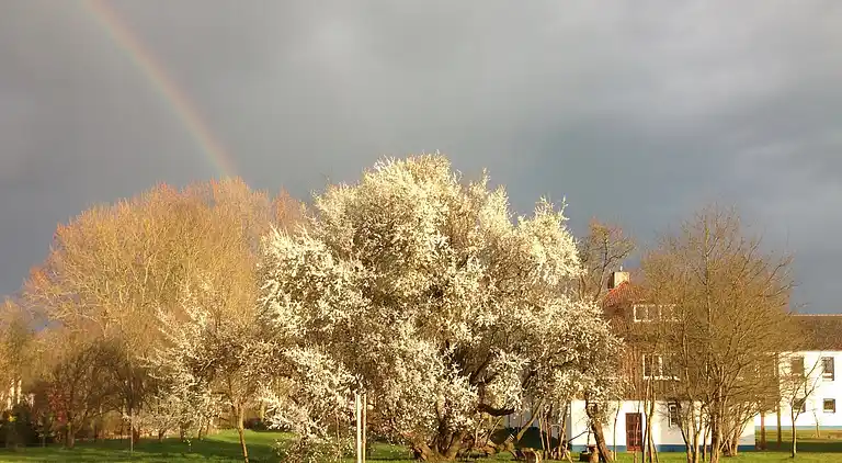 Apartment in Viecheln