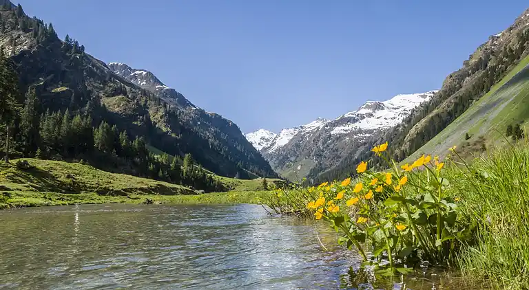 Ferielejlighed i Bartholomäberg