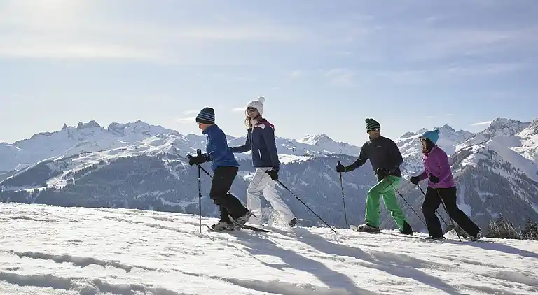 Ferielejlighed i Bartholomäberg