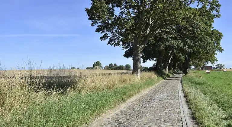 Apartment in Kröpelin