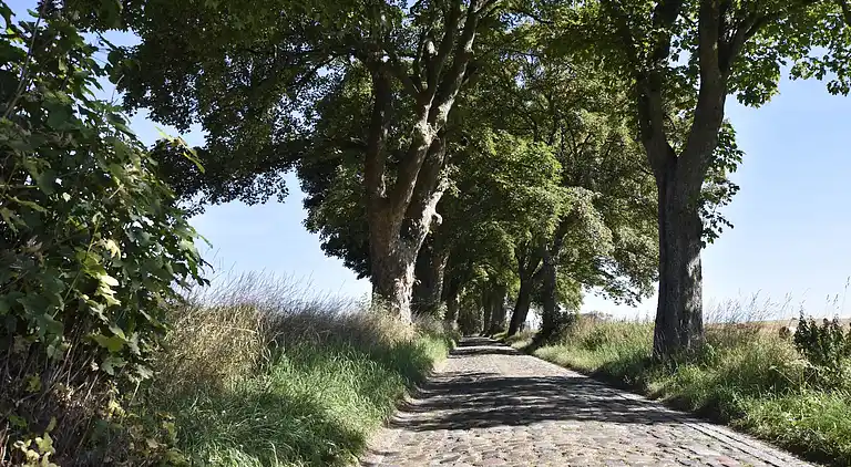 Apartment in Kröpelin