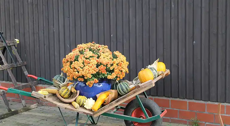 Apartment in Kröpelin