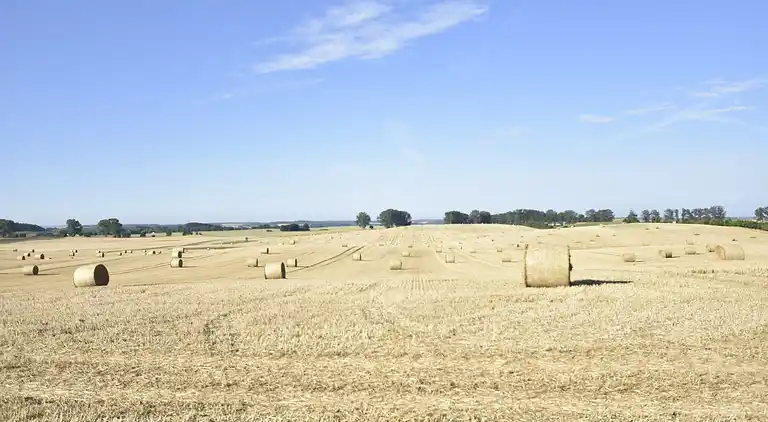 Holiday home in Carinerland