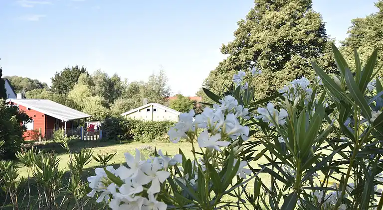 Holiday home in Carinerland