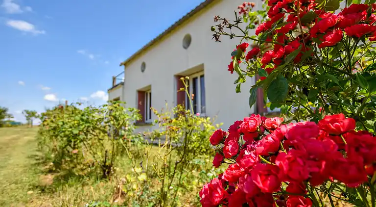 Sommerhus i Saint-Capraise-d'Eymet