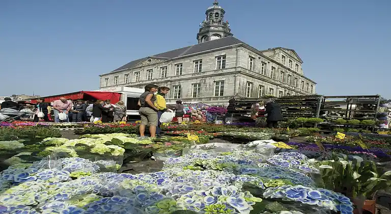 Sommerhus i Dousberg-Hazendans