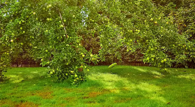 Sommerhus ved Pøt Strandby
