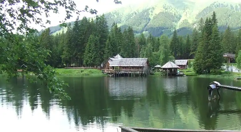 Ferielejlighed i Gemeinde Pusterwald