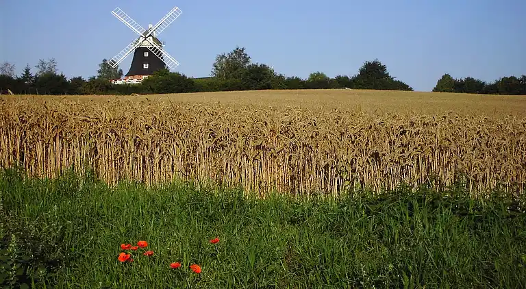 Apartment in Niederklutz