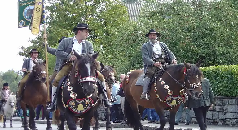 Cottage in Wald im Pinzgau