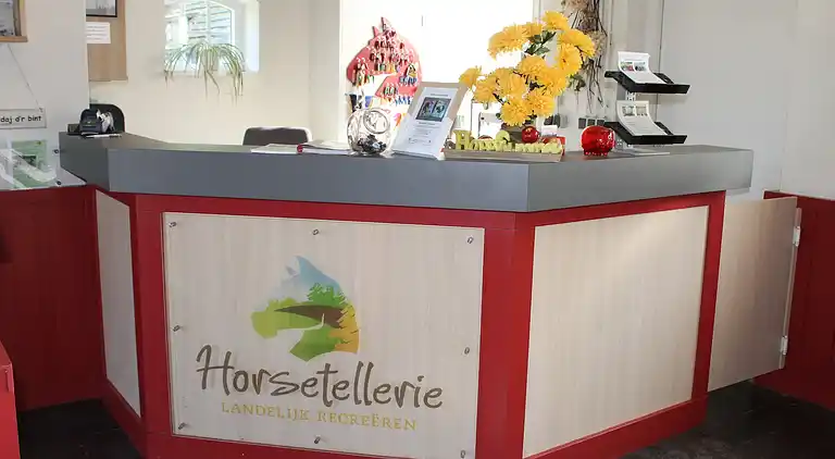 Semesterbostad i Rheezerveen