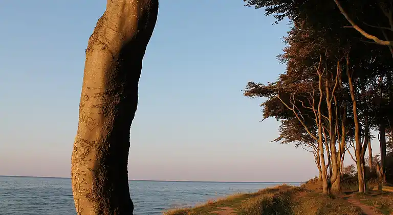 Ferielejlighed i Rerik