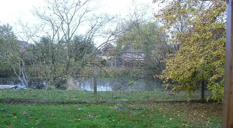 Bungalow in Rethwisch