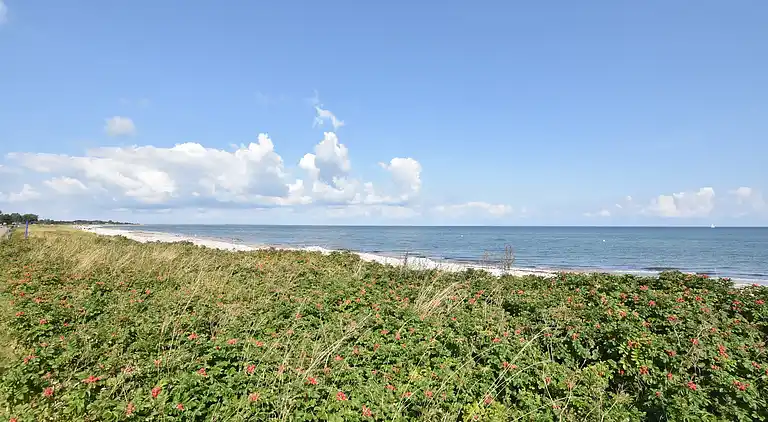 Ferielejlighed i Gundelsby