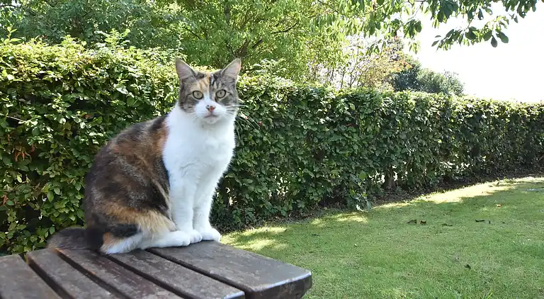 Ferielejlighed i Gundelsby