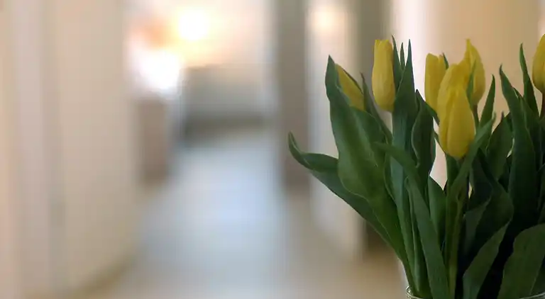 Apartment in Pepelow