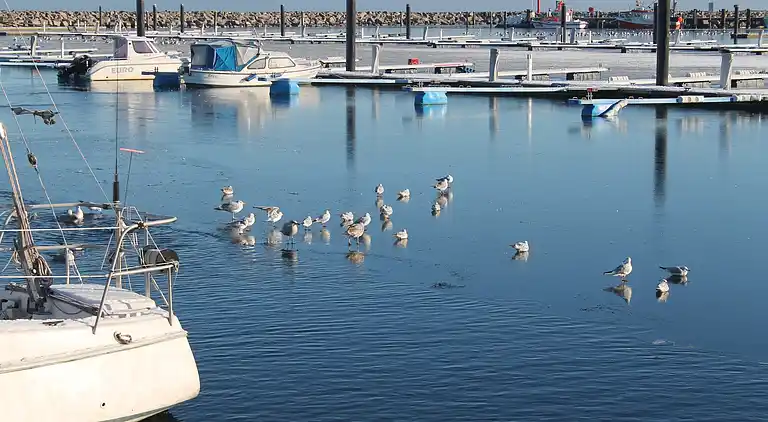 Apartment in Kühlungsborn