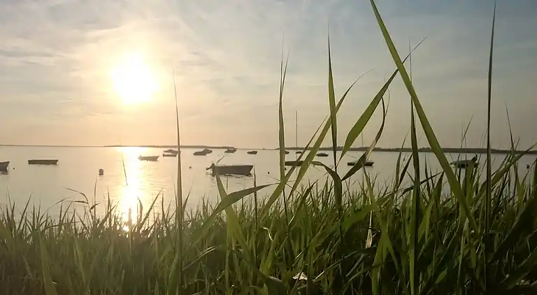 Ferielejlighed i Pepelow