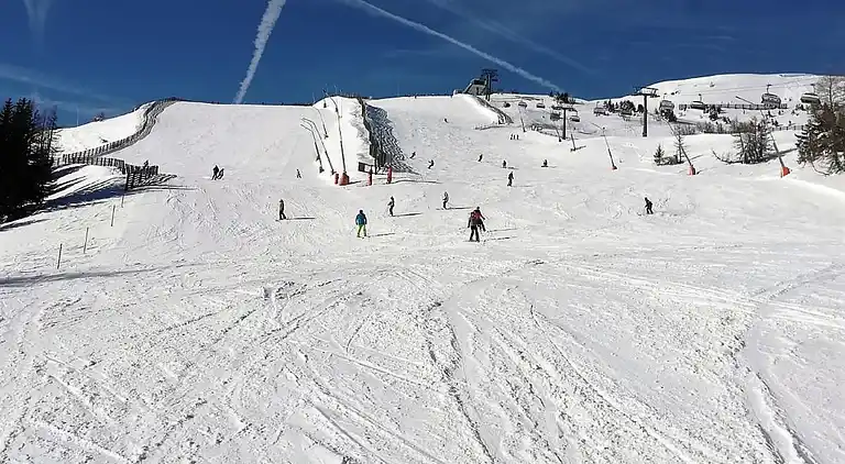 Ferienhaus in Sankt Michael im Lungau