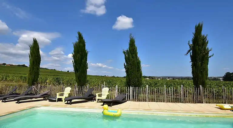 Herregård i La Chapelle-de-Guinchay