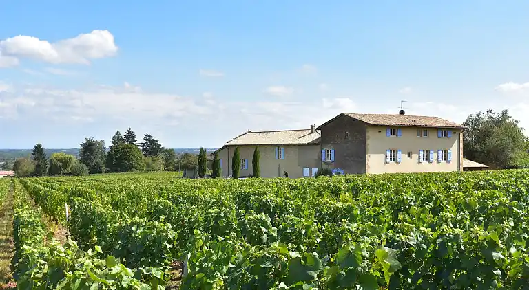 Herregård i La Chapelle-de-Guinchay