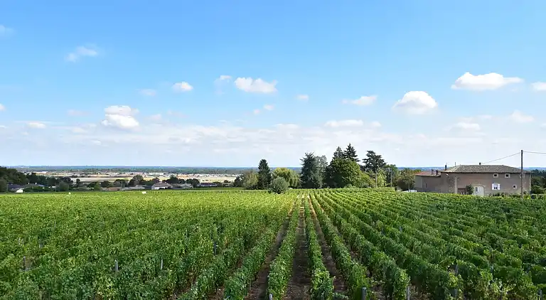 Herregård i La Chapelle-de-Guinchay