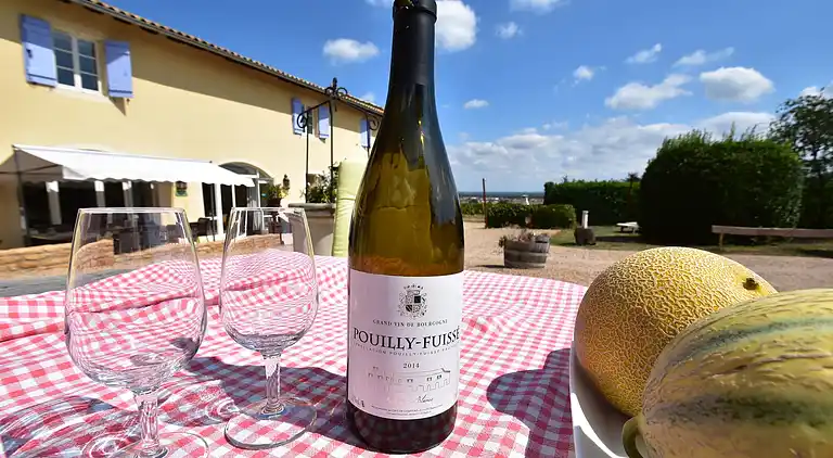 Herregård i La Chapelle-de-Guinchay