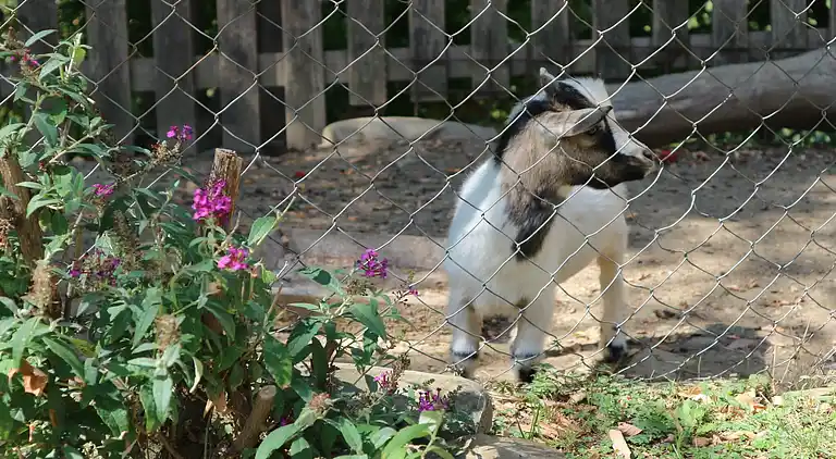 Holiday home in Borgo San Lorenzo