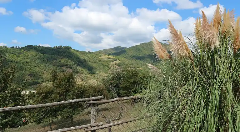 Holiday home in Borgo San Lorenzo