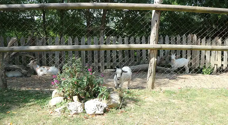 Holiday home in Borgo San Lorenzo