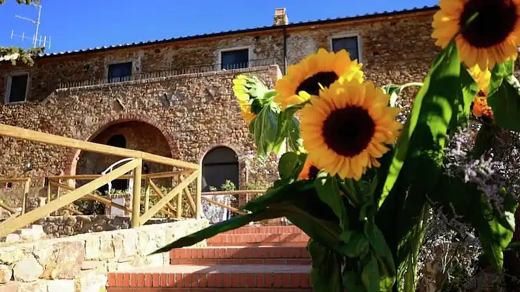 Sommerhus i Campiglia Marittima