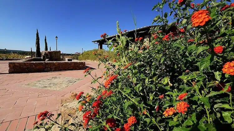 Sommerhus i Campiglia Marittima