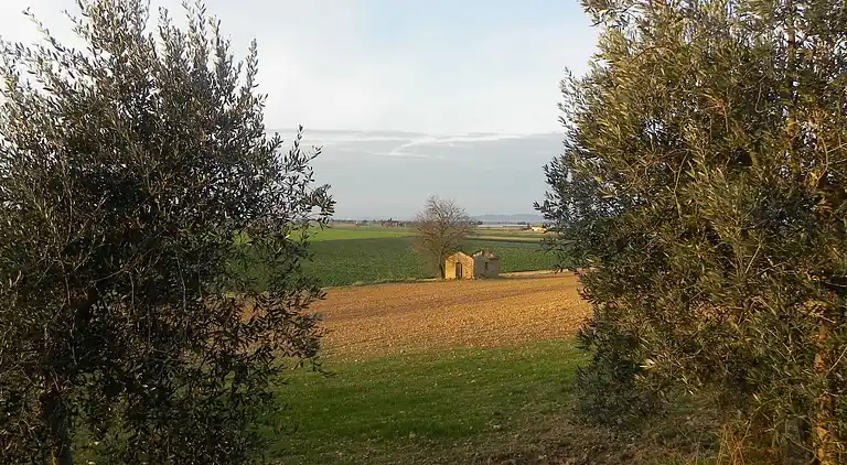 Sommerhus i Campiglia Marittima