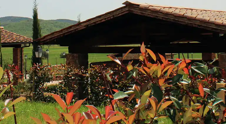 Sommerhus i Campiglia Marittima