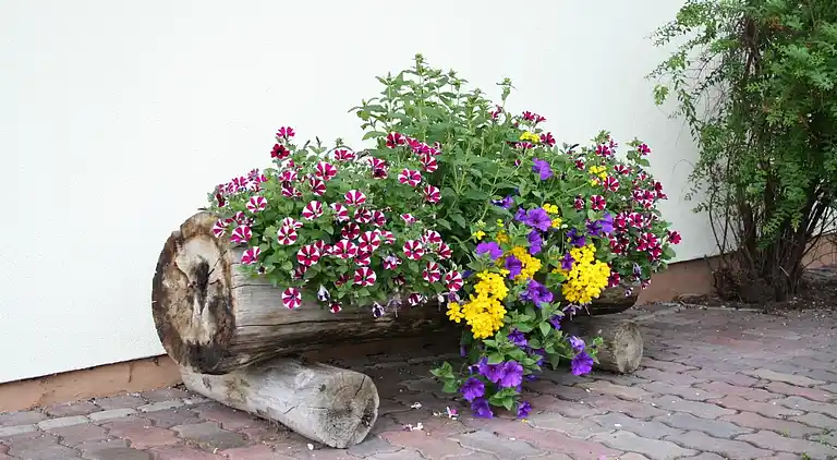 Apartment in Waidring